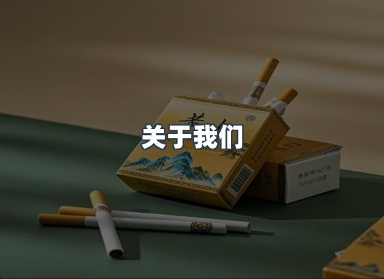 专业团队